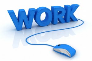 Prieskumy - práca na doma cez počítač a internet